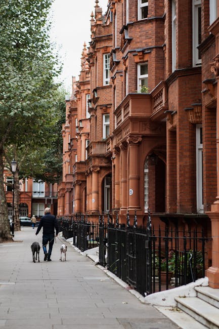A man dressed in dark clothing walking along a paved sidewalk in Kensington, carrying two dogs on leads—one on each side. The sidewalk is lined with black wrought iron fencing and small plants in front of the red-brick Victorian-style residential buildings with ornate architectural details, bay windows, and small balconies. To the left, a large leafy green tree partially obscures some of the buildings and a classic street lamp is visible. The scene suggests a quiet residential area suitable for home relocation and furniture transport, with the man potentially heading to assist with packing or moving items as part of a house removal or other relocation service. The lighting indicates daytime with natural ambient light illuminating the scene.